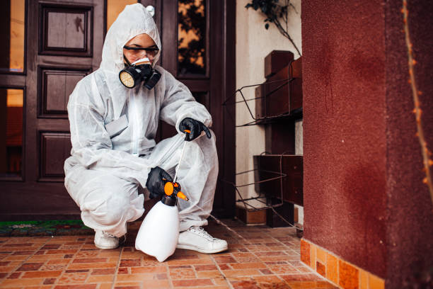 Reliable Wasp Removal contractor in Terra Alta, WV by Show Me Pest Control